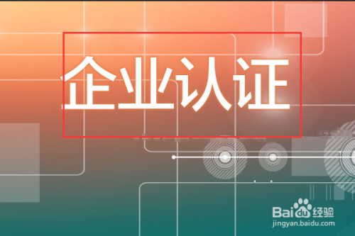 彩神网APP界面展示
